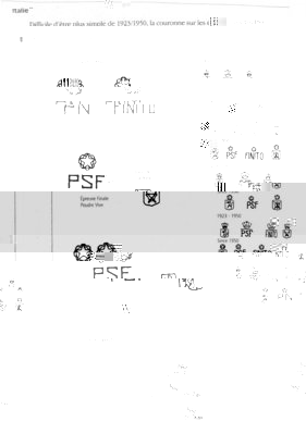 img12.jpg